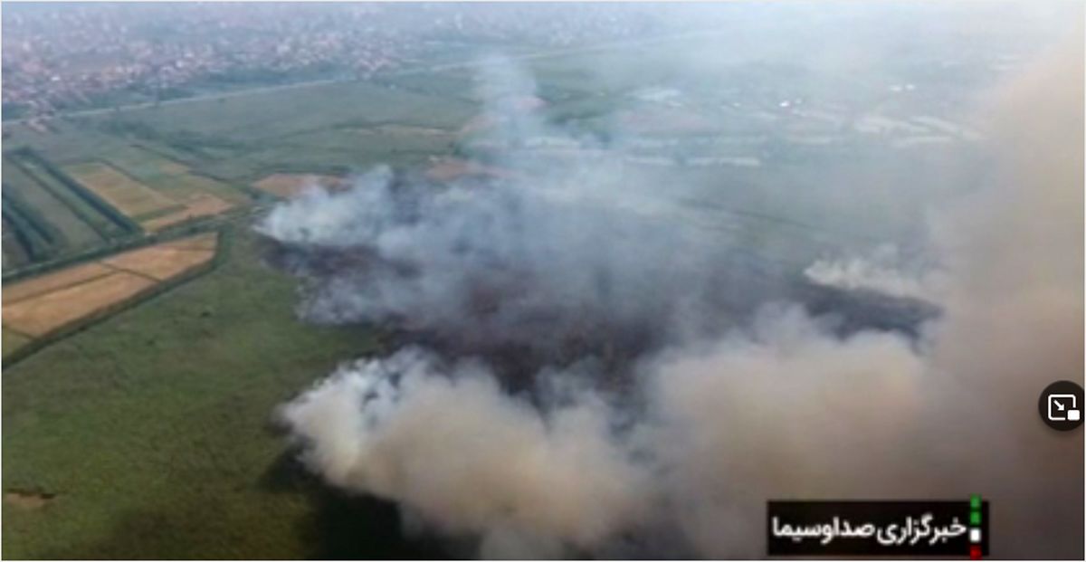 آتش‌سوزی در تالاب انزلی/دود شهر را گرفت!+فیلم