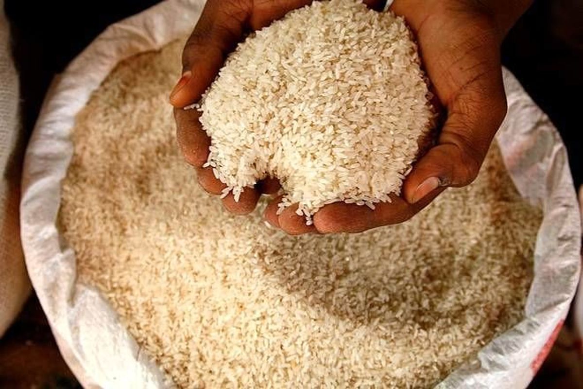 برنج شب عید گران می‌شود ؟